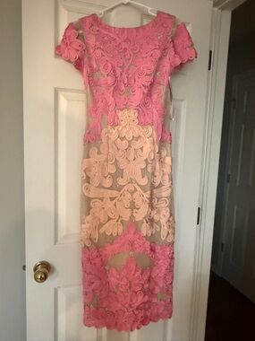 JS Collections Pink & Blush Embroidered Sheer Appliqué Midi Dress